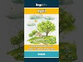 April - The fourth month of the yea... video thumbnail