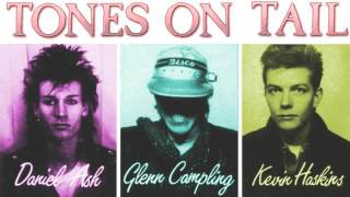 Tones On Tail - Lions