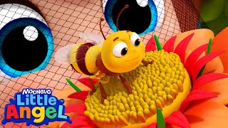 Bee Keeper Song | Cartoons for Kids | Music Show | Nursery Rhymes | Sing a Longs |  Magic And Music
