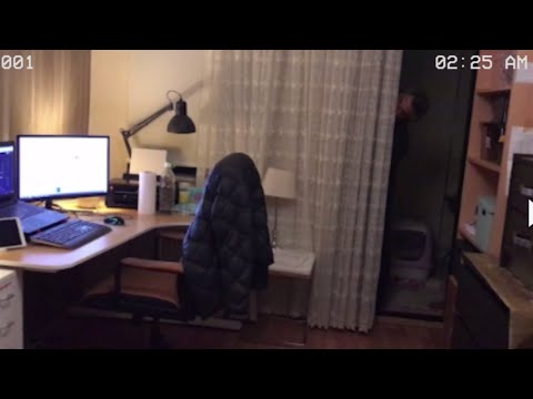 Observation Duty in real life: Paranormal Inc. by Riv3r