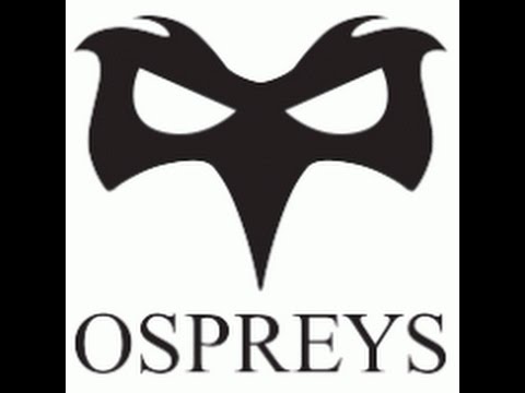 Leinster 12 vs 17 Ospreys - 17/05/2010 (Part 2)