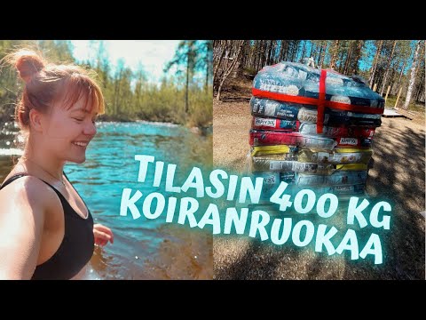 Meidän perus arkea 🐶