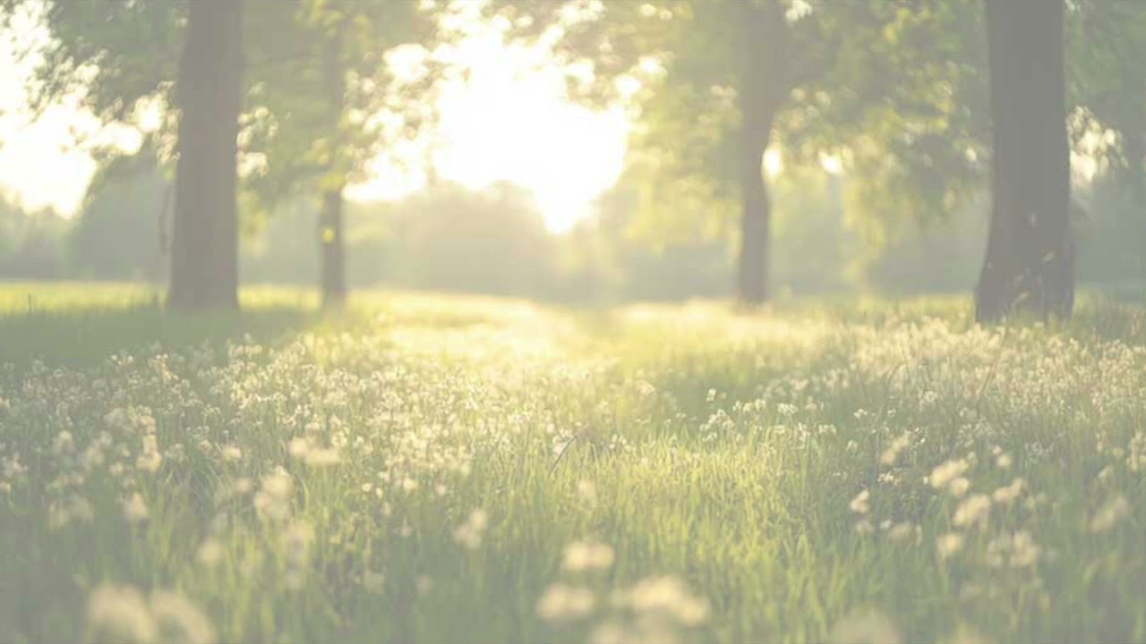 Movement Meditation From Rooted Counseling & Wellness | Draper, Utah