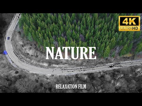 🌳Bosnia and Herzegovina: Nature Relaxation Film 4K - Peaceful Relaxing Music - Nature 4k Video