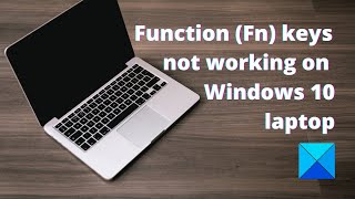 Function (Fn) keys not working on Windows 10 laptop