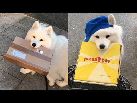 Send Your Cutest Delivery Girl Video