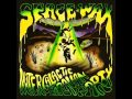Space Wax Intergalactic Caravan Party 2014 Full Album