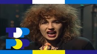 Won Ton Ton - I Lie And I Cheat • TopPop