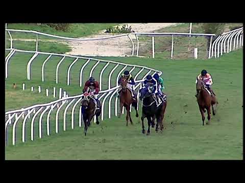 Galoppo 25/01/2021 - 3ª corsa