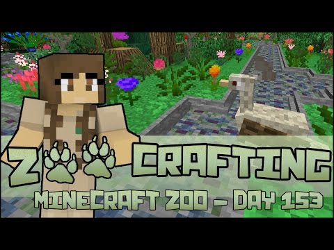 Big Plans for Small Birds!! 🐘 Zoo Crafting: Season 2 - Episode #153