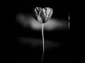 Takahiro Kido-Where Time Goes 