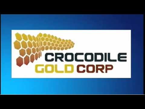 February 29 Trade What You See with Larry Pesavento - 2012