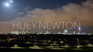St. Vincent - Huey Newton