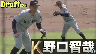 動画を再生