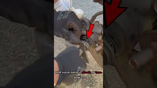 Download lagu how to properly rewind brake piston - THIS is the correct way! mp3 Download lagu how to properly rewind brake piston - THIS is the correct way! mp3