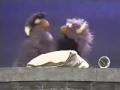 Sesame Street Two Headed Monster Pillow