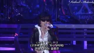 X JAPAN (X) - Dahlia LIVE 2009 (Korean, Japanese Sub)