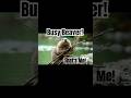 Busy Beaver