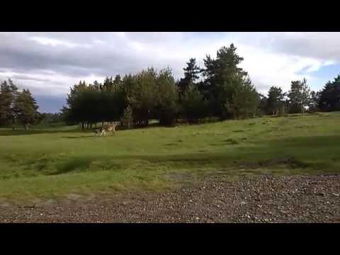 Dupa o veritata ploaie de mai Platoul Plaiul Nucului Com, Lopatari