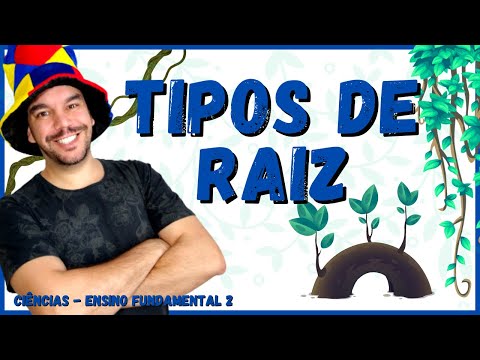 TIPOS DE RAÍZES | 8 Tipos diferentes | Ciência e Botânica | Aula completa - 2021🌿