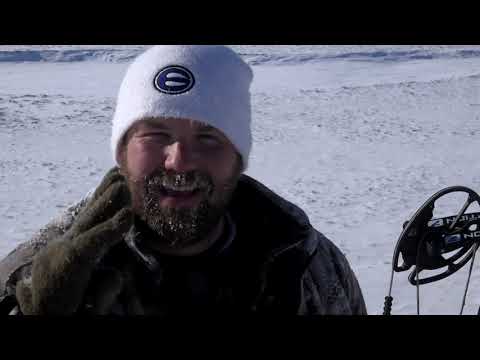Bone Cold TV - Greenland Muskox - Part 2
