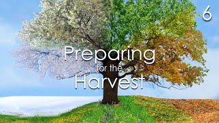 Preparing for the Harvest - 6
