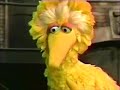 Sesame Street Scenes From 2574