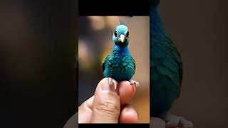 Download lagu Peacock dancing | AI video #song #kids mp3 Download lagu Peacock dancing | AI video #song #kids mp3