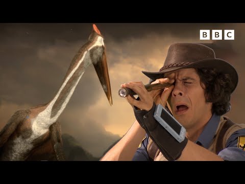 Water Birds and Flying Dinosaurs | Andy's Amazing Adventures
