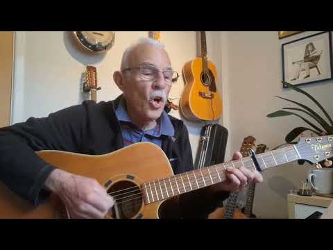 Fear Of The Dark.  Iron Maiden Acoustic Cover.