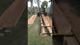 Complete cut Mallin Ahogado Tk1300 Sawing Cypress - Sent by Franciso
