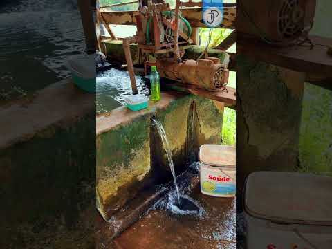 Propriedade à Venda em Materlândia MG!