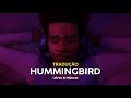 Metro Boomin James Blake Hummingbird Tradução