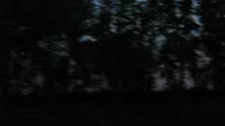 hapshash and the coloured coat - a mind blown is a mind shown