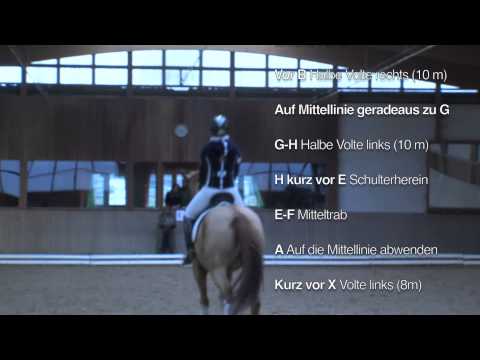 Dressur-Kür Klasse M – Ideen, Linien und Musik