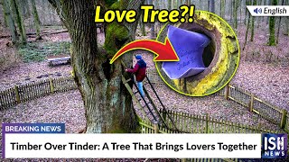 Timber Over Tinder: A Tree That Brings Lovers Together