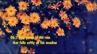 Kelly Chen - A Lover&#39;s Concerto