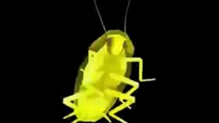 Cover art for Cockroach SPIN