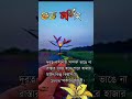 Good Morning All Friends ️ ️ ️ Sed Short Caption Video Status Tapasmaity2551