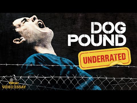 Dog Pound: The Most Underrated Prison Movie You've Probably Not Seen | PopCult Video Essay