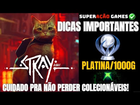 STRAY DICAS IMPORTANTES PARA PLATINA COLECIONÁVEIS E SPEEDRUN TROFÉU VELOZ