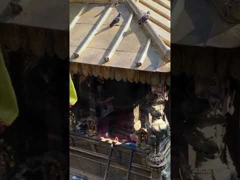 HIRANYAVARNA MAHAVIHAR (GOLDEN TEMPLE): A Tale of queens, deities, and dreams.  #shorts