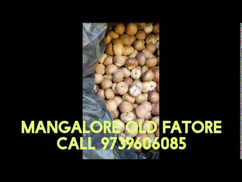 Natural mangalore bazaar fatore choll supari, for agricultur...