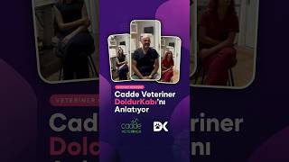 DoldurKabı Hakkında Veteriner Görüşleri