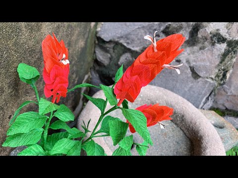 ABC TV | How To Make Shrimp Beloperone Guttata Paper Flower - Craft Tutorial