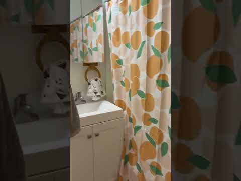 Charming & Updated 2-Bed in Prime Beacon Hill - No Fee! property video