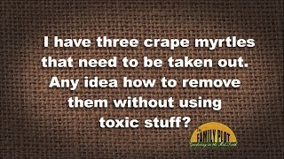 Q&A – How do I remove a crape myrtle without using toxic chemicals?