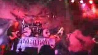 Avalanch - La Taberna