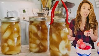 Apple Harvest Trick that Doubles Storage Time | The Only APPLE PIE Filling Recipe You