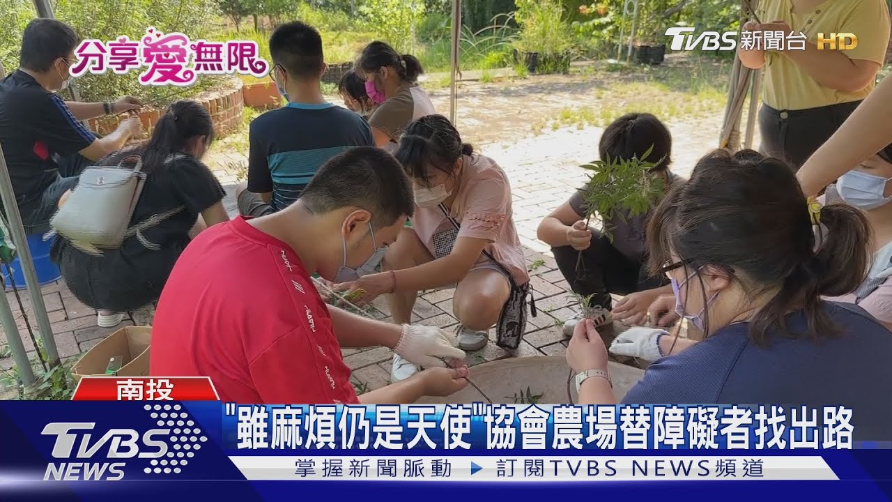 「雖麻煩仍是天使」　農場替障礙者找出路